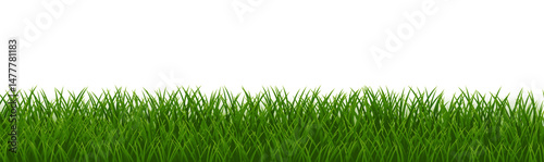 Grass Frame With Isolated White Background