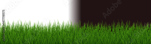 Green Grass Border Isolated White And Black Background