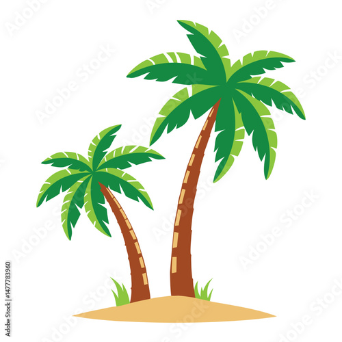 Tropical summer beach nature illustration of a palm tree vector with coconut leaves on a white background