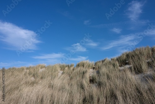 Fototapeta Naklejka Na Ścianę i Meble -  sand dune with marram grass and blue sky.