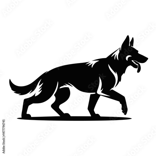 Loyal dog looking at camera

