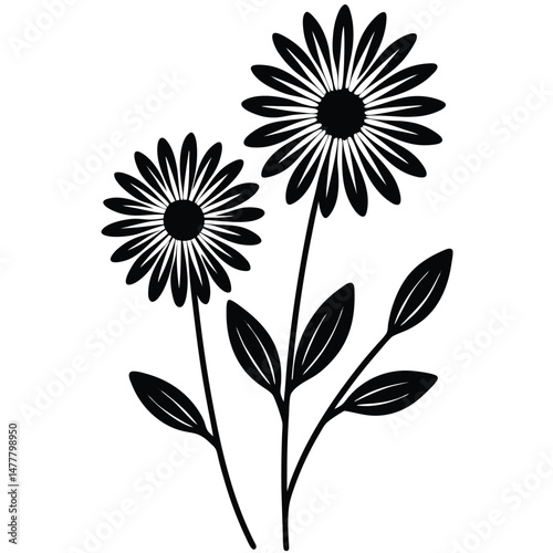 Black and white floral vector illustration of three daisies with leaves on a white background