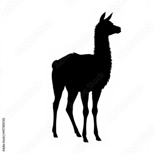 Llama illustration icon, black silhouette vector