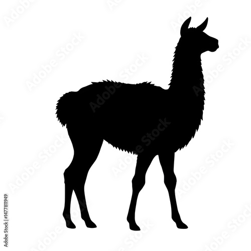 Llama illustration icon, black silhouette vector