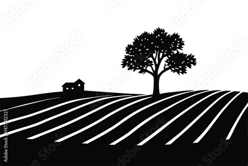 Lone tree in plowed field