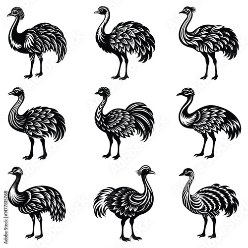 Black ostrich vector illustration, ostrich silhouette vector, ostrich vector icon, Ostrich emu bird vector illustration on a white background