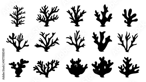 Seaweed silhouettes, coral black icon. Abstract organic shape, underwater plant, matisse element, cute sea doodle.