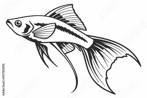 swordtail sihouette black vector
