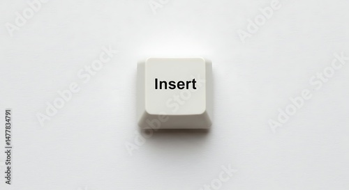 Insert key from a computer keyboard on white background