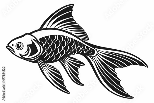 tetra fish sihouette black vector