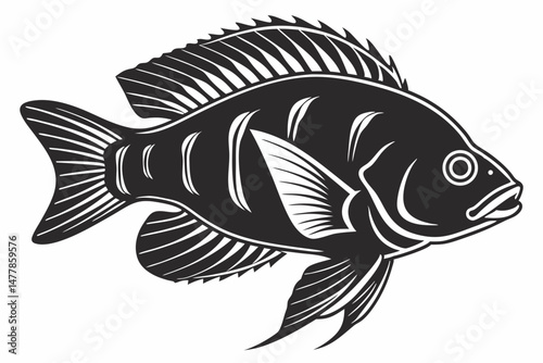 cichlid sihouette black vector