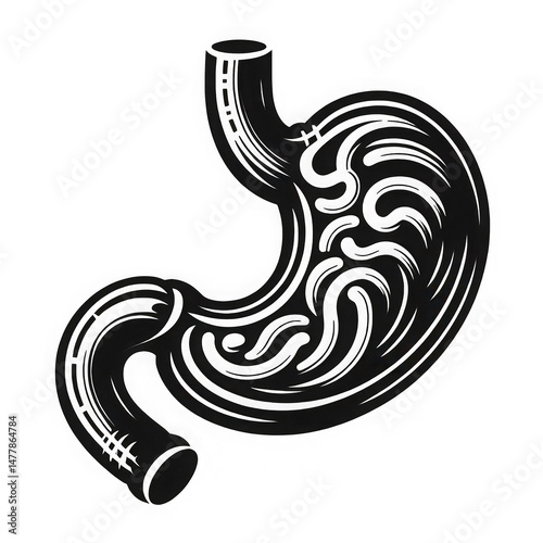 Intricate Stomach Illustration, Tattoo Style Design
