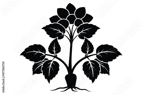 Stylized Black Flower with Roots and Leaves Botanical Illustration Graphic Element