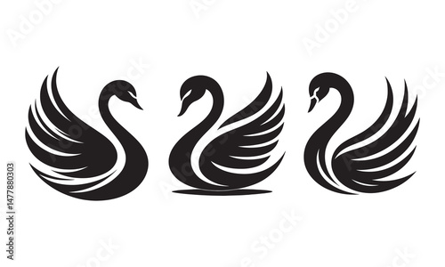 Black swan vector illustration bundle set