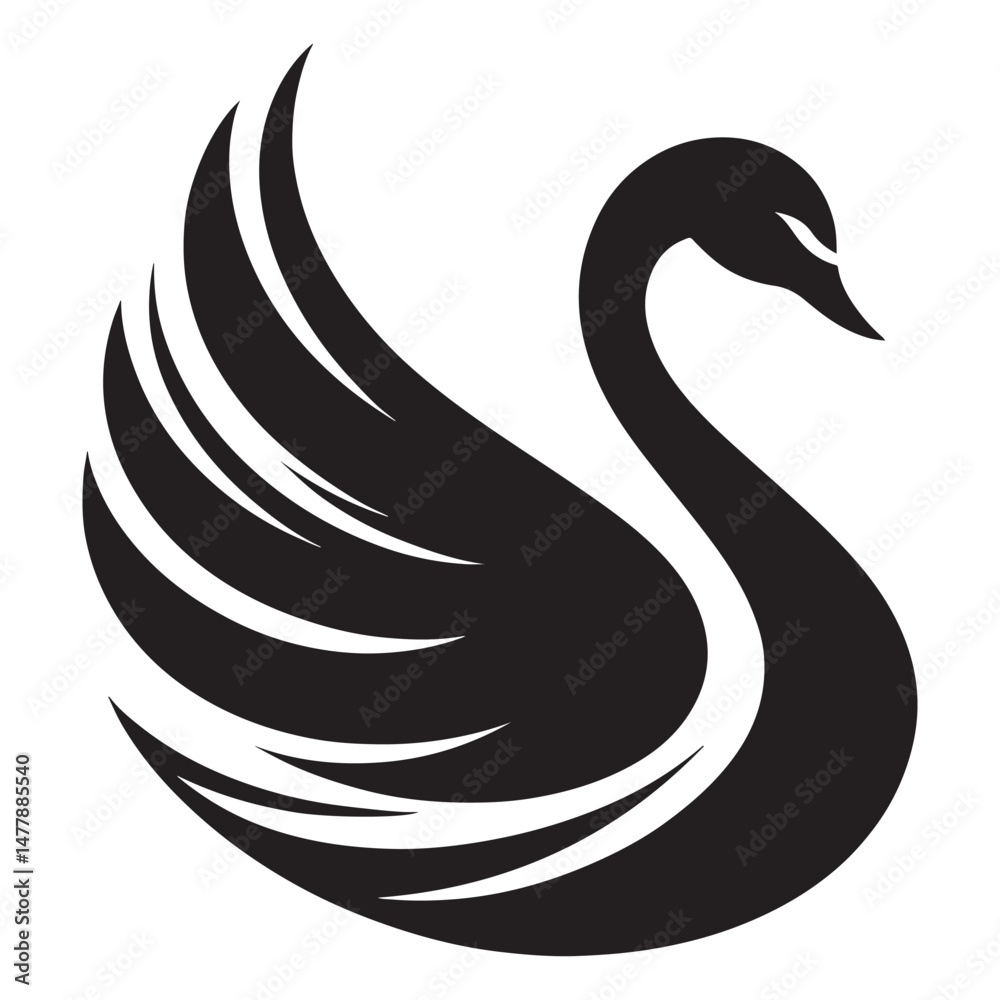 Fototapeta premium Black swan vector illustration