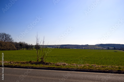 Vast landscape of the Czech Republic. Green field in early spring. In the background mountains with forests under blue sky. Landscape with concrete road.