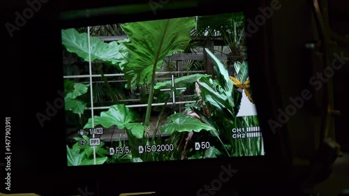 Broadcast Camera View: Transition Through Natures Lush Greenery and Vibrant Life