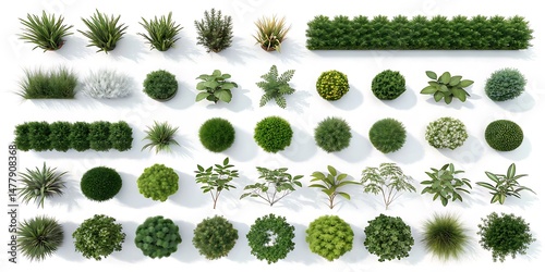 Various topview renderings showcase different plant types and topiary arrangements on a clean white background