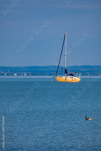 A photo of a sailer in the water