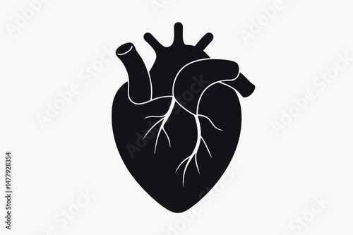 black and white anatomical illustration of the human heart, minimalist design, detailed vector graphic
