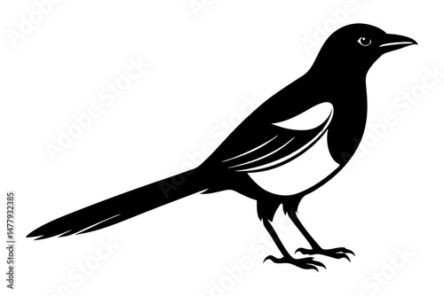Magpie Silhouette vector