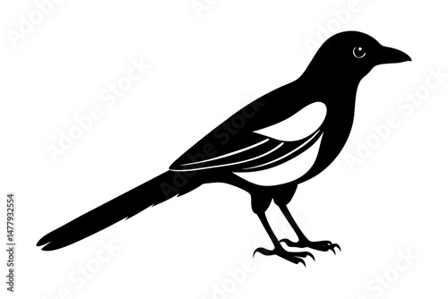 Magpie Silhouette vector