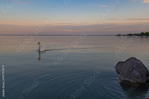 A photo of a person is swimming in the water with a surfboard