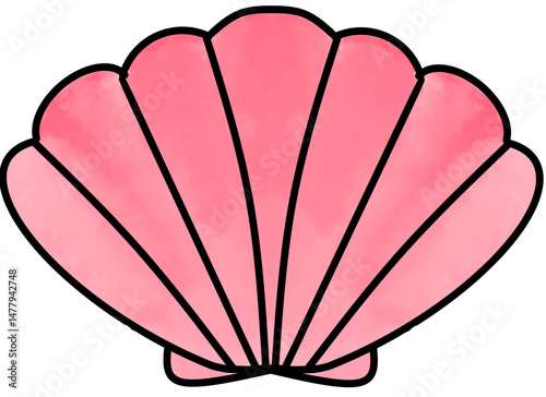 Pink shell