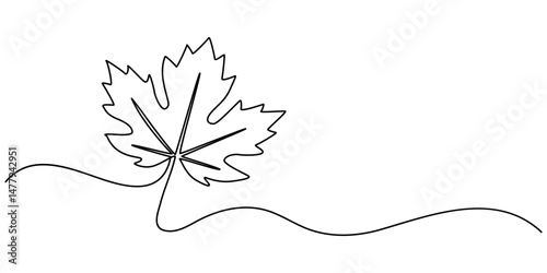 Autumn leaf continuous one line drawing,  Autumn leaf continuous one, A single line drawing of an maple leaf. Continuous line thanksgiving icon.                                      