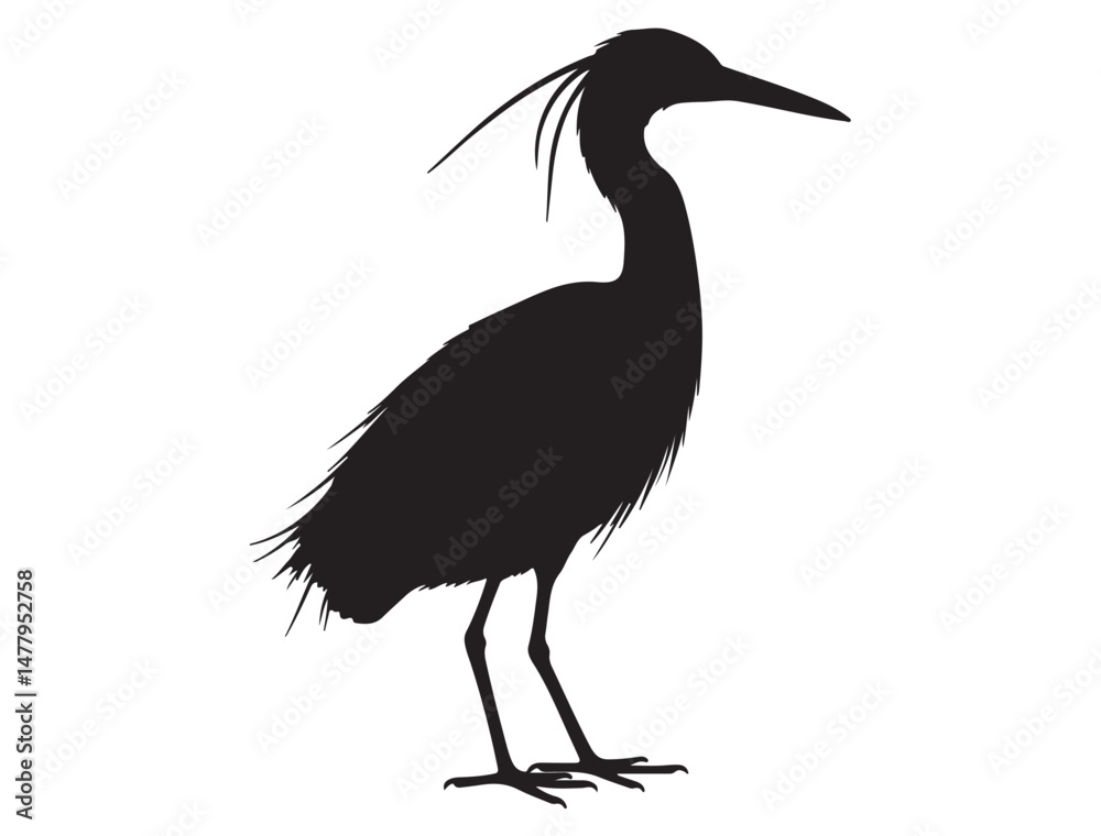Obraz premium EGRET SILHOUETTE WHITE BACKGROUND