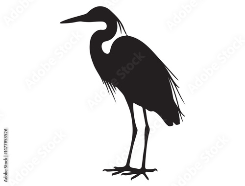 EGRET SILHOUETTE WHITE BACKGROUND