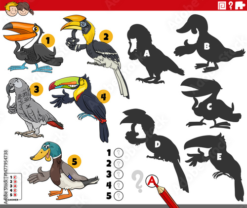 finding shadows puzzle with cartoon birds animal characters