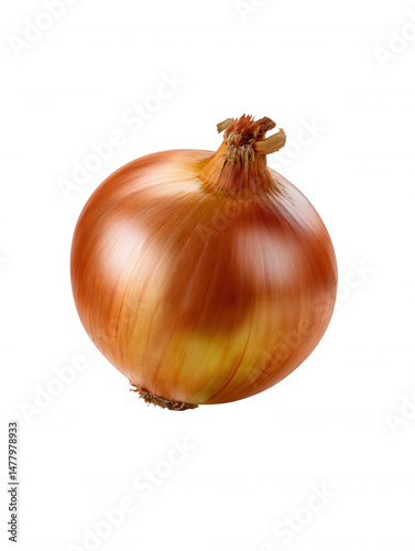 Wallpaper Mural A single, golden brown onion with dry outer layers sits isolated against a clean white background, showcasing its natural texture and shape for cooking needs. Torontodigital.ca