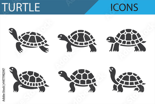 Turtle silhouette icons for educational and scientific presentations