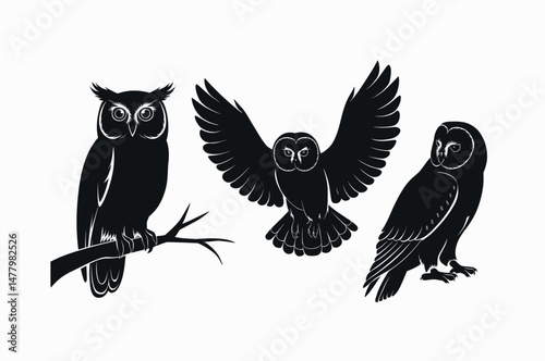 Three Silhouettes of Majestic Owls in Flight and on a Branch