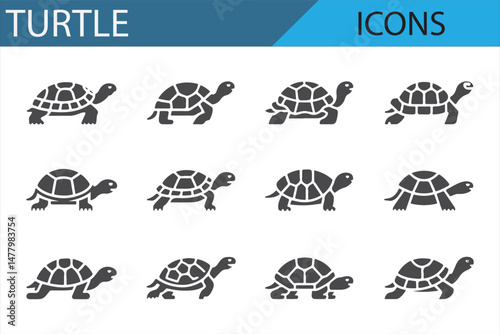 Icon collection of turtles in different positions for web graphics