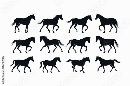 Silhouette animation of a horse in different gaits.