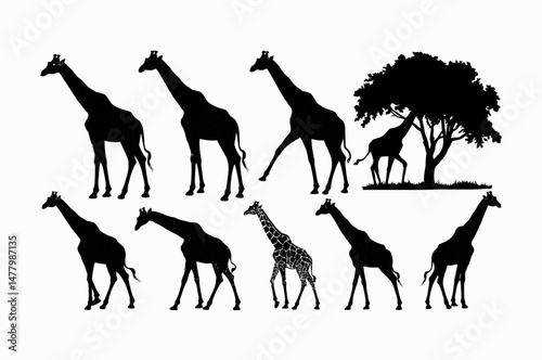 Silhouettes of Giraffes and a Tree in African Savanna