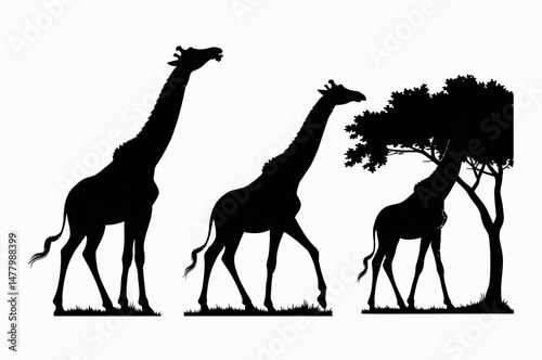 Silhouettes of Giraffes and a Tree in African Savanna