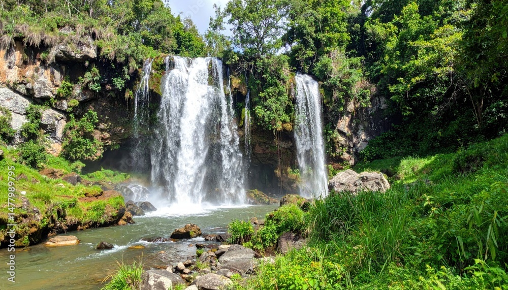 Fototapeta premium Lush waterfall cascading into a tranquil pool.