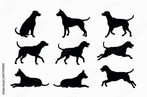 Set of Dog Silhouettes in Various Poses