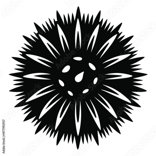 Striking Silhouette of a Spiky Black Floral Shape with Central Elliptical Markings