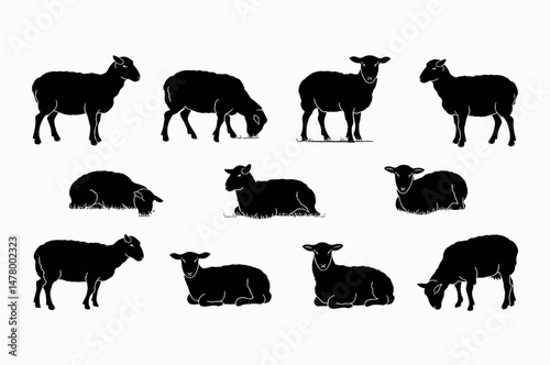 Set of Sheep Silhouettes in Various Poses
