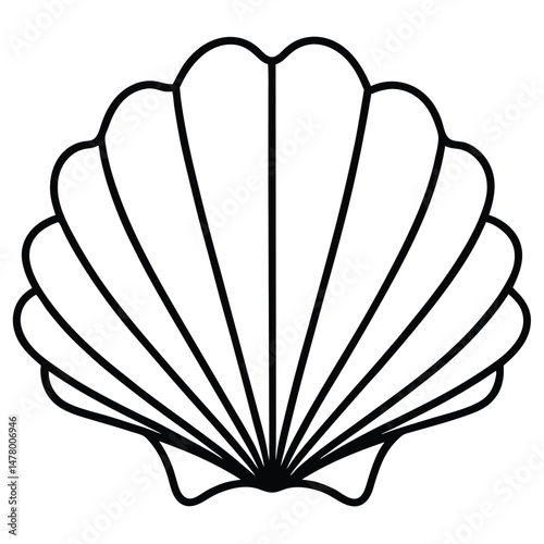 Elegant Black and White Outline Drawing of a Seashell with Fluted Design