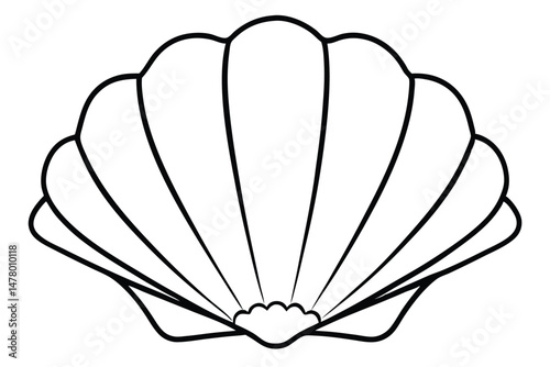 Seashell Illustration Black Outline of Scallop Shell Drawing for Coloring or Design Use