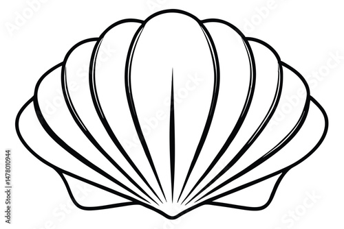 Elegant Line Art Illustration of a Seashell Featuring Black Contours and Delicate Grooves