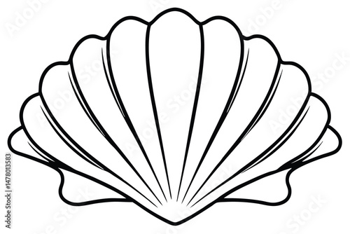 Detailed Line Drawing of a Stylized Seashell Illustration, Ideal for Coloring Books