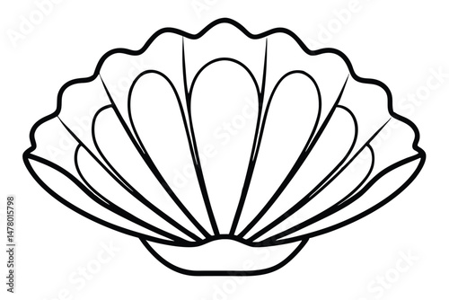 Stylized black and white seashell illustration with wavy edges and radial segments