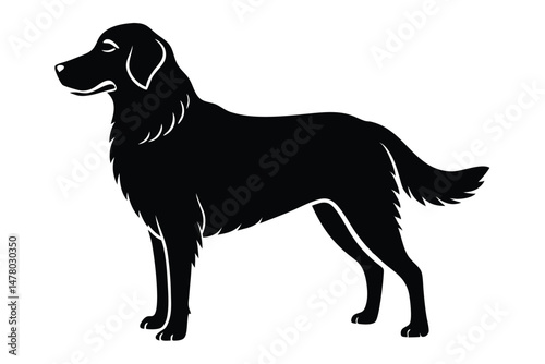 Elegant Silhouette of a Standing Black Labrador Retriever Dog Graphic Illustration