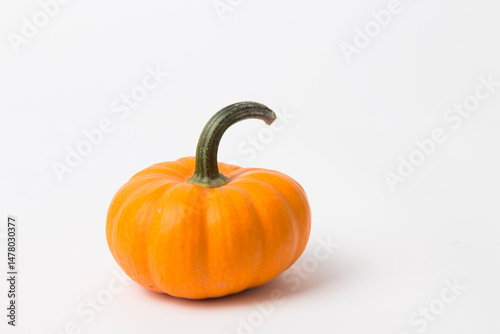 Mini Orange Pumpkins on White Background